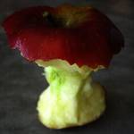APPLE 3