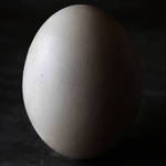 EGG 1