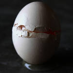 EGG 2